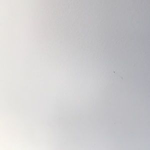 Meet your Posher, Risha